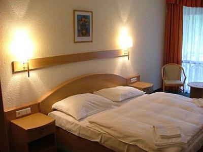 4-Sterne-Hotel in Ungarn - Bequemes Zweibettzimmer in Mezökövesd, im Zsory Hotel Fit - Zsory Hotel Fit Mezökövesd - Wellnesshotel in Mezökövesd