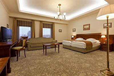Andrassy Residence - Präsidentenzimmer im Hotel in Tarcal - Appartement Andrassy Hotel Tarcal - ✔️ Andrassy Kúria Tarcal 5* ✔️ Spa Wellnesshotel Tarcal