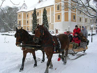 Romantische Programme im Hedervary Schlosshotel in Hedervar - Pferdeschlitten - Hedervary Schlosshotel  Hédervár - Ungarn - Hédervár