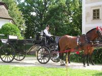 Hedervary Schlosshotel - Kutschenfahrt im Viersternehotel in Hedervar in Ungarn