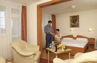 Doppelzimmer in Wellness Hotel Eger Park Hotel - Park Hotel Eger - Eger 