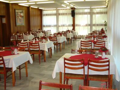 See Velence - Restaurant - Piramis Hotel in Gardony - Piramis Hotel Gardony - 3 Sterne Hotel am Ufer des Velencei-Sees in Gardony