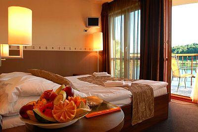 To Hotel Bank*** Panoramablick auf den Bank Lake vom Zimmer - ✔️ Tó Wellness Hotel*** Bánk ✔️ Wellnesshotel Tó Hotel Rabatt 