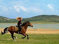 Hotel Azur Siofok - Reiten